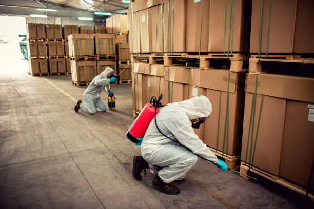 Best Affordable Pest Control Services  in Bartlesville, OK