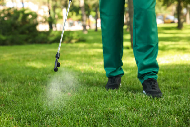 Reliable Bartlesville, OK Pest Control Solutions