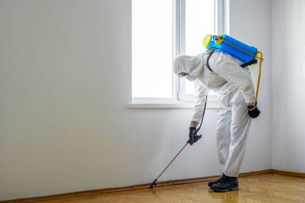 Best Best Pest Control Companies  in Bartlesville, OK