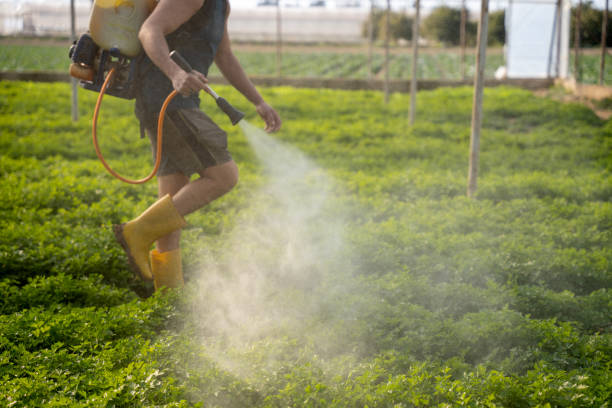 Best Mosquito Control Services  in Bartlesville, OK