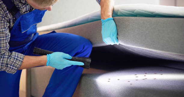 Best Ant Control Services  in Bartlesville, OK