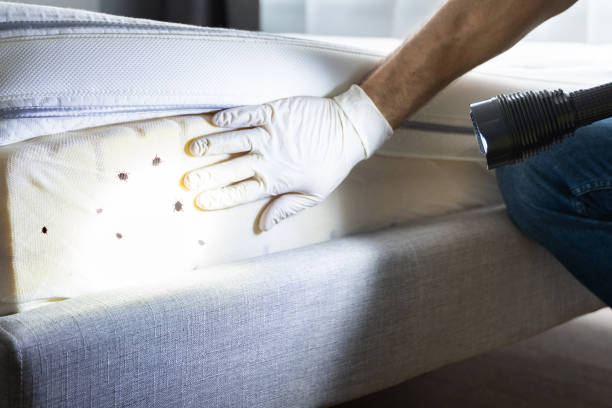 Best Affordable Pest Control Services  in Bartlesville, OK