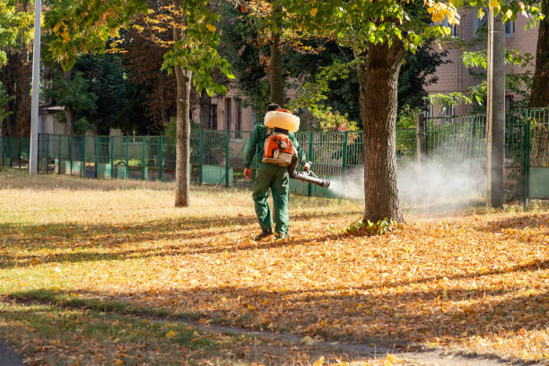 Best Exterminator Services  in Bartlesville, OK