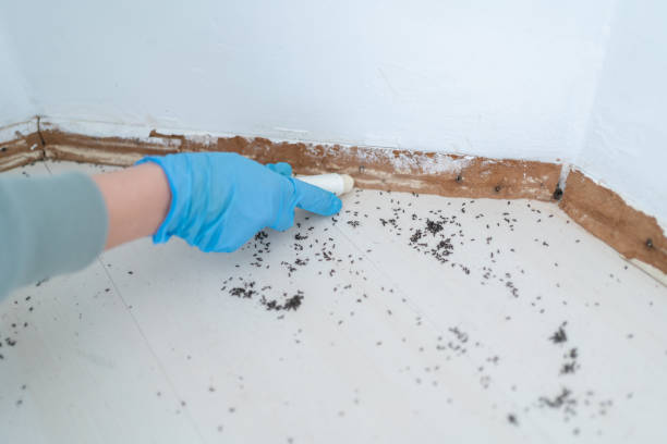 Best Best Pest Control Companies  in Bartlesville, OK