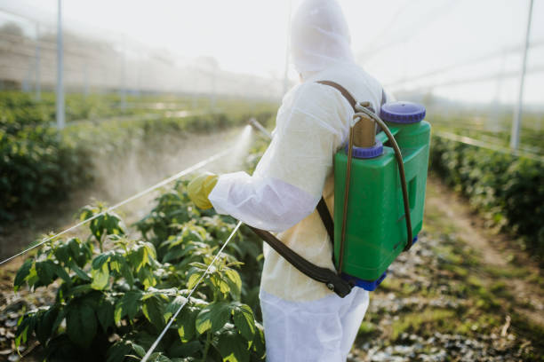 Best Bed Bug Extermination  in Bartlesville, OK